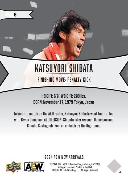 Katsuyori Shibata