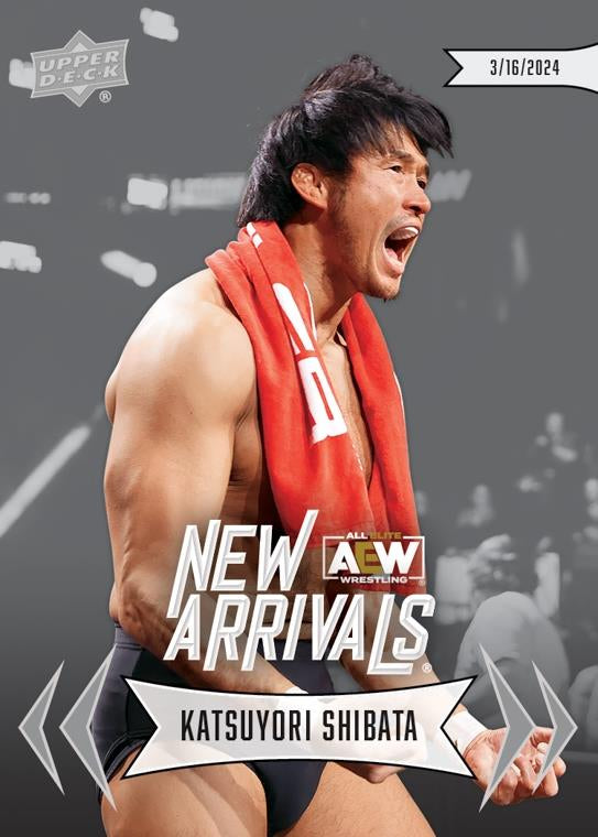 Katsuyori Shibata