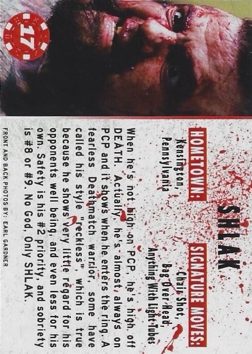 Shlak - image 2