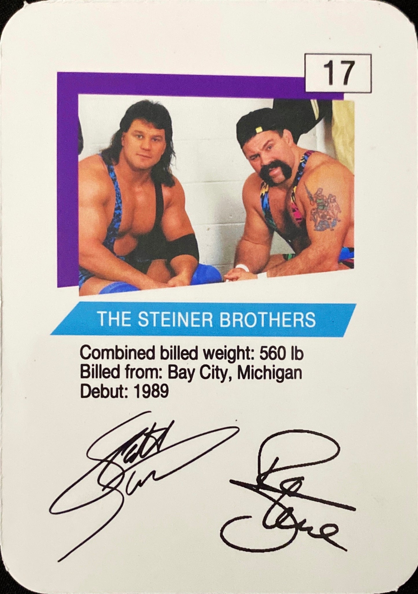 The Steiner Brothers