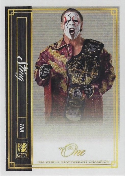 Sting – TNA World Heavyweight Champion