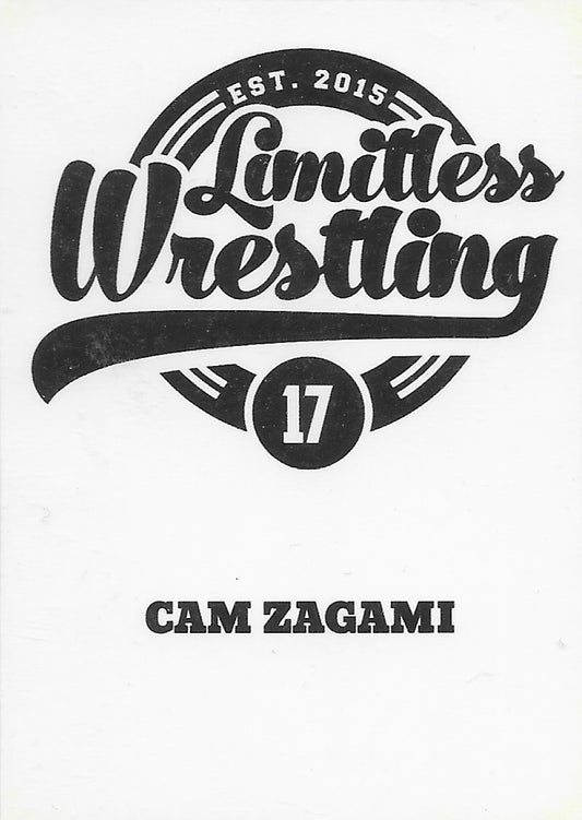 CAM Zagami trading card PW Catalog