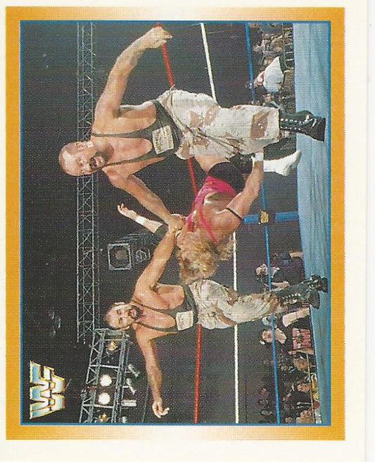 WWF Merlin Stickers 1995 Bushwhackers #170