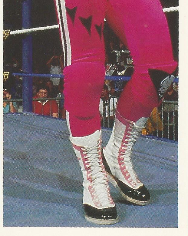 WWF Merlin Stickers 1991 Bret Hart #170