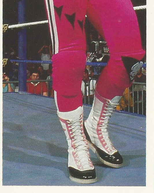 WWF Merlin Stickers 1991 Bret Hart #170