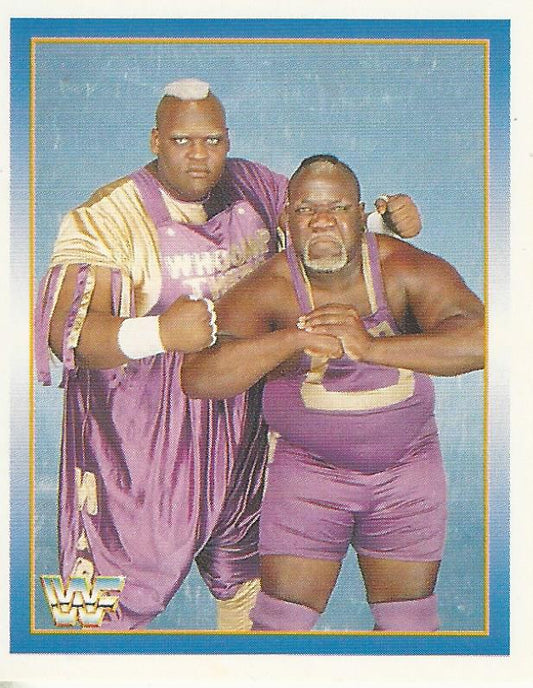 WWF Merlin Stickers 1995 Men on a Mission #171