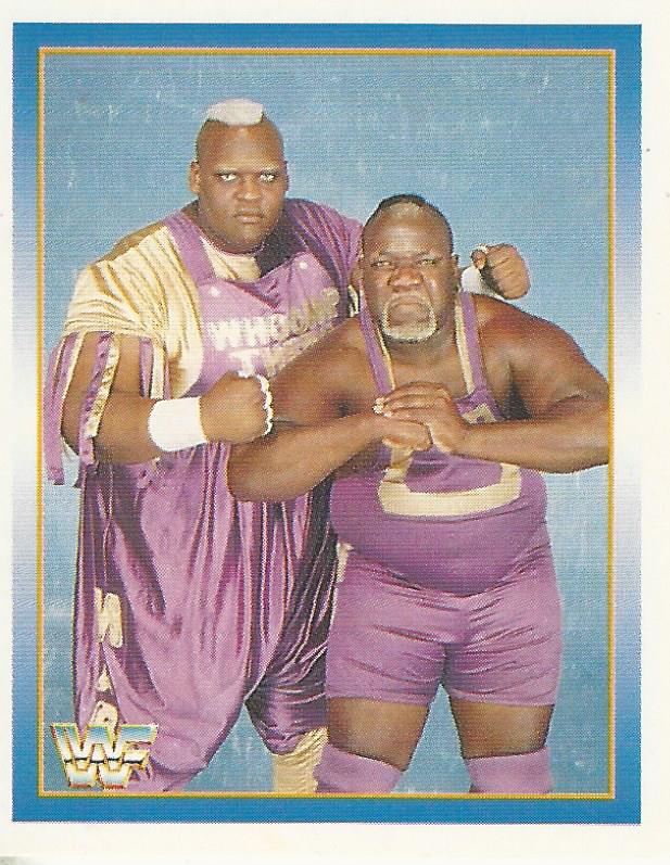 WWF Merlin Stickers 1995 Men on a Mission #171