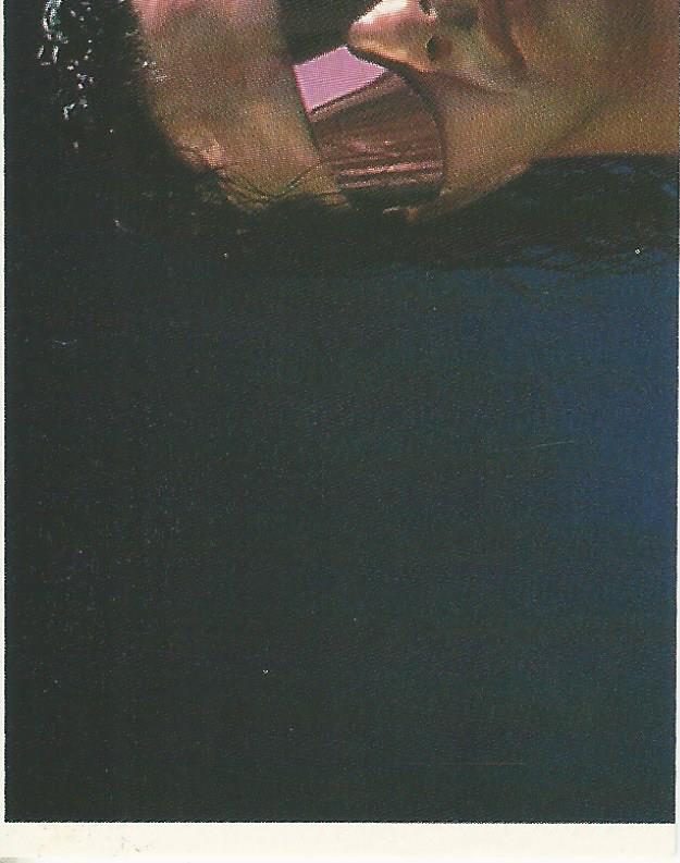 WWF Merlin Stickers 1991 Bret Hart #172