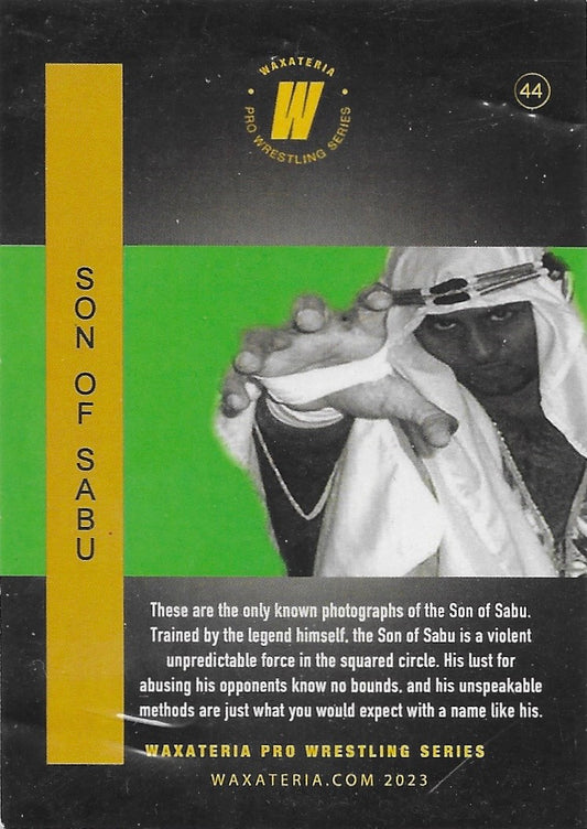 Son of Sabu trading card PW Catalog