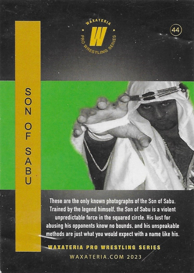 Son of Sabu trading card PW Catalog