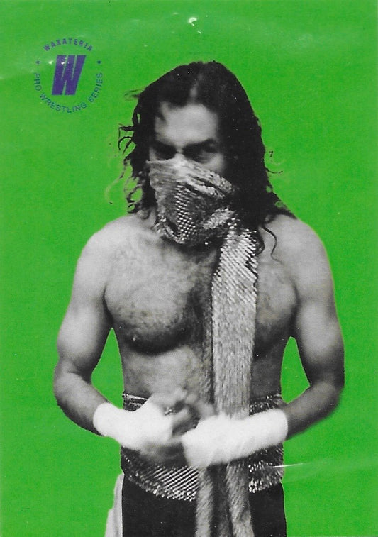 Son of Sabu trading card PW Catalog