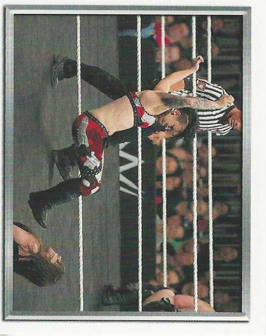 WWE Topps 2018 Stickers Ruby Riott #173