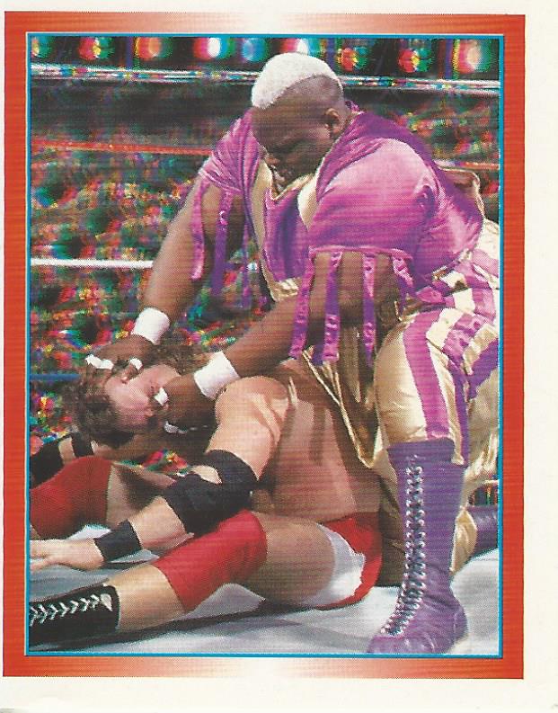 WWF Merlin Stickers 1995 Mabel #173
