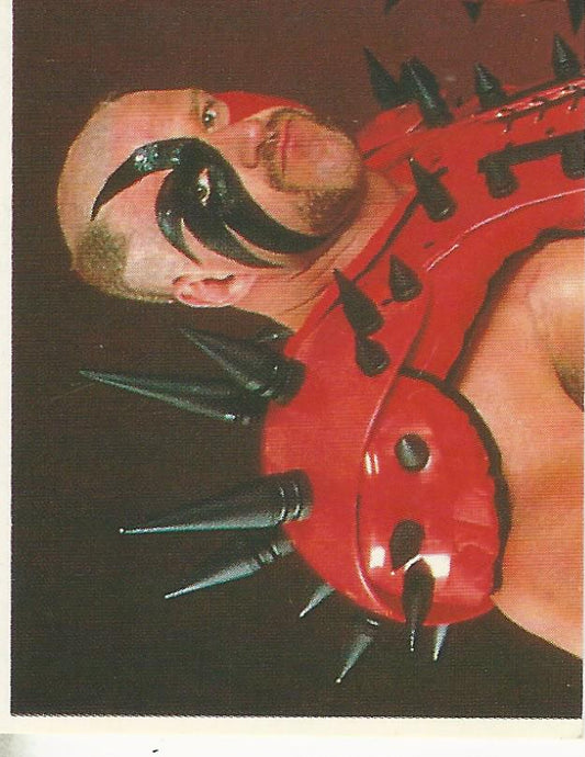 WWF Merlin Sticker Collection 1990 Legion of Doom #173