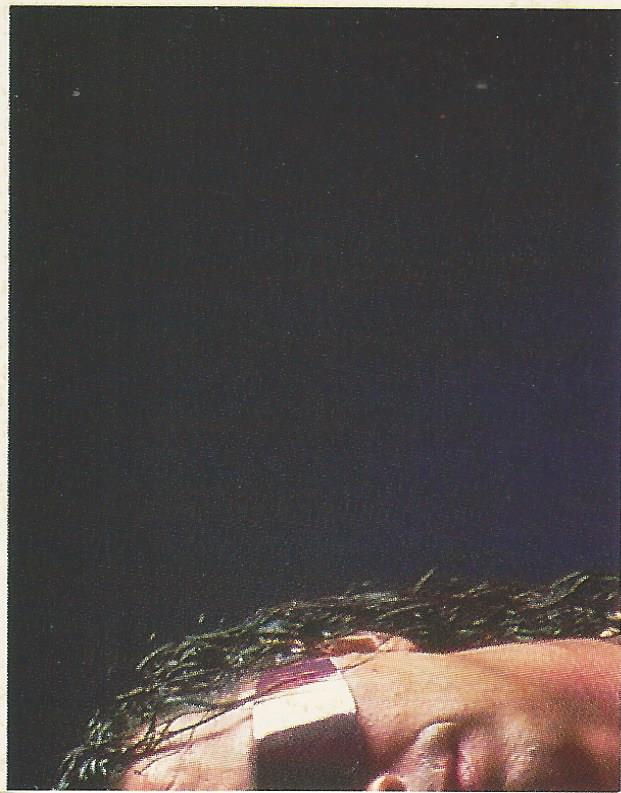 WWF Merlin Stickers 1991 Bret Hart #173