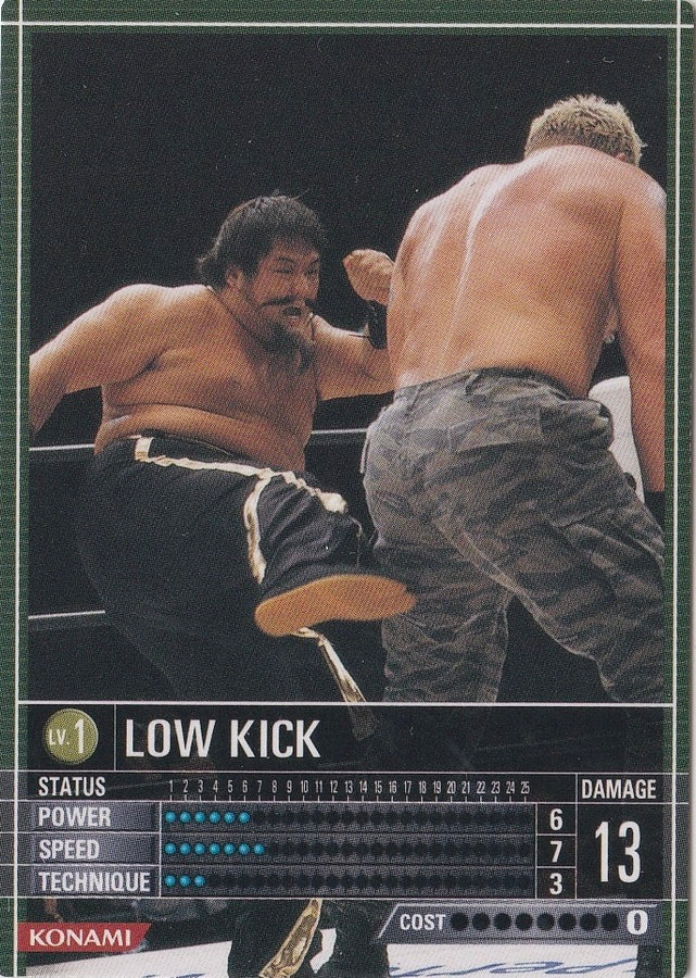 LOW Kick