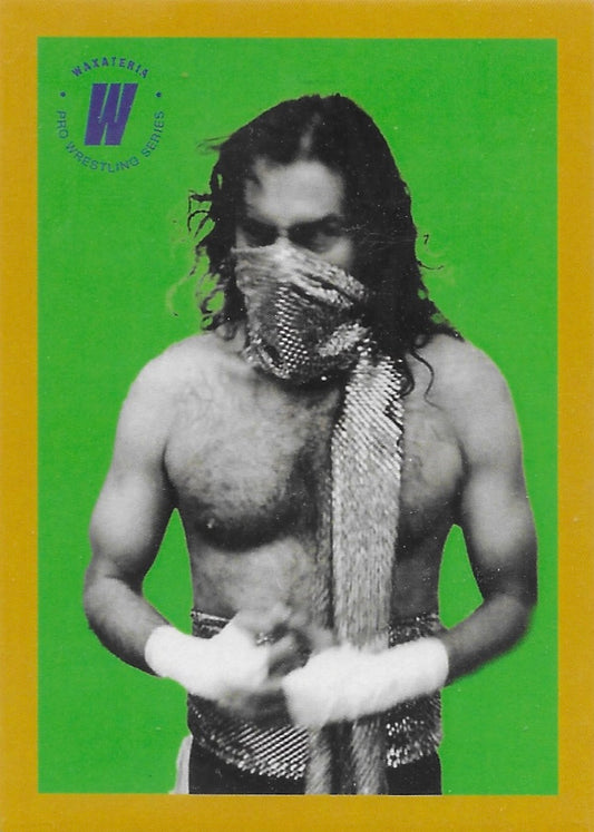 Son of Sabu trading card PW Catalog