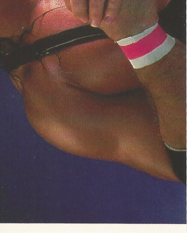 WWF Merlin Stickers 1991 Bret Hart #174