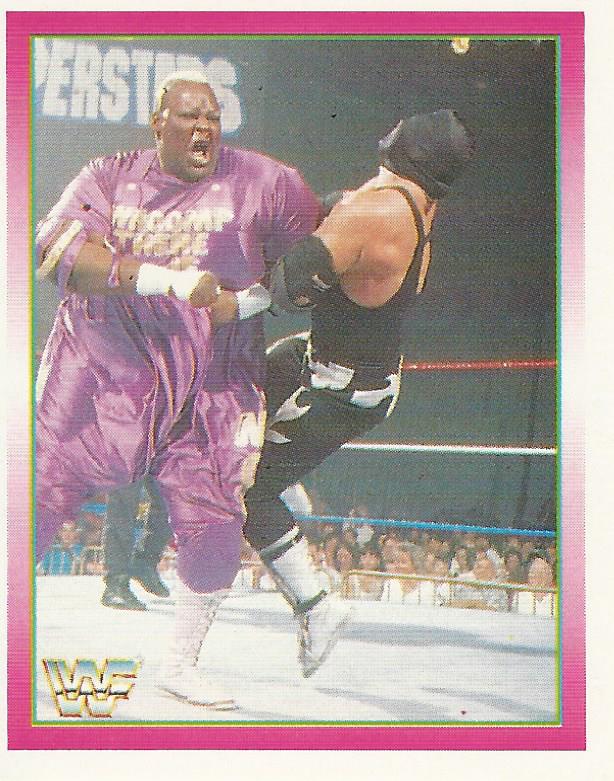 WWF Merlin Stickers 1995 Mabel #174