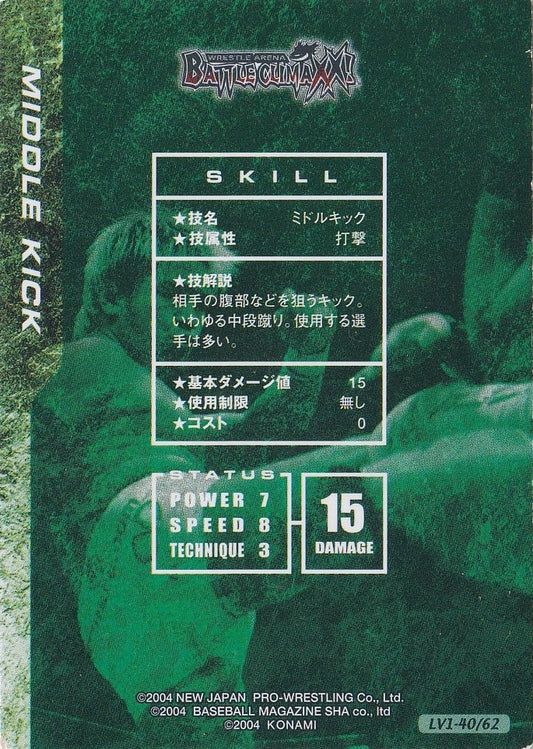 Middle Kick - image 2