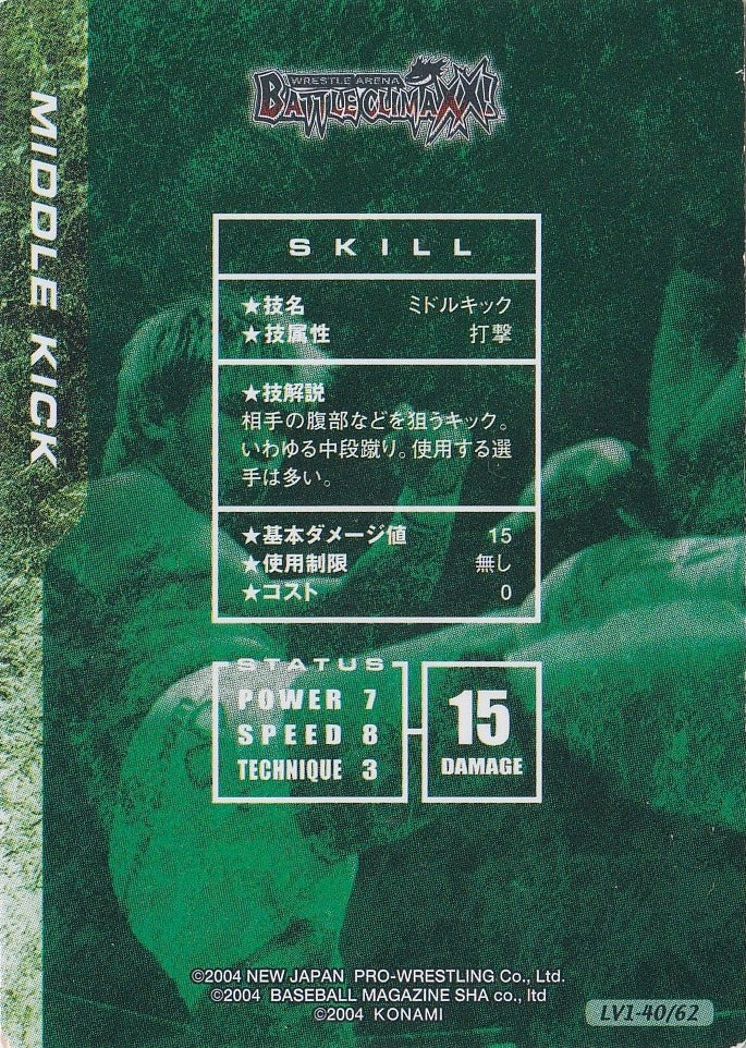 Middle Kick