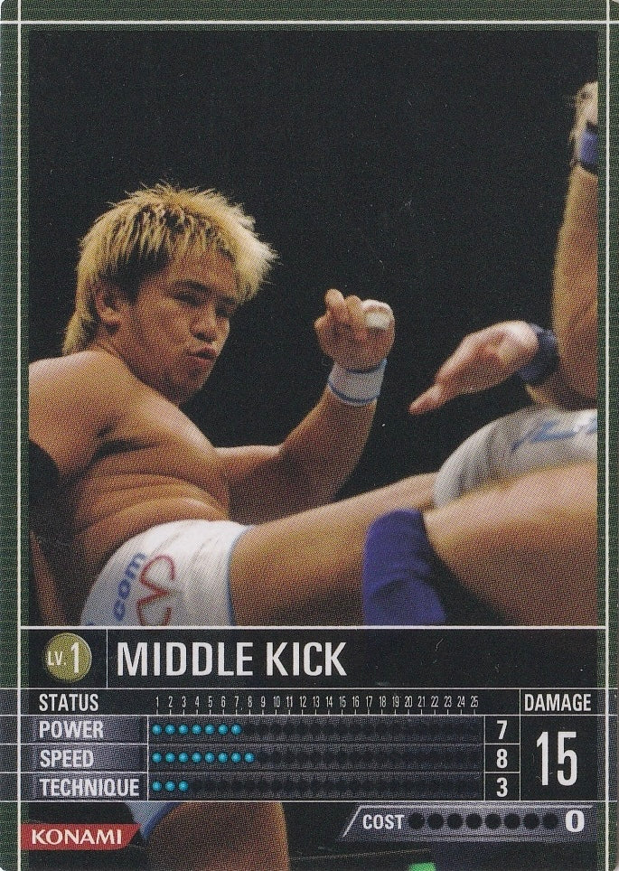 Middle Kick