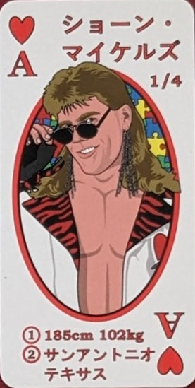 Shawn Michaels trading card PW Catalog