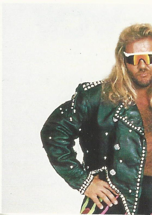WCW Euroflash 1992 Sticker Michael Hayes #175