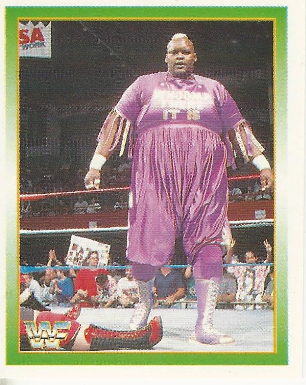 WWF Merlin Stickers 1995 Mabel #175