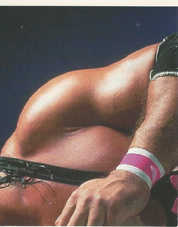 WWF Merlin Stickers 1991 Bret Hart #175