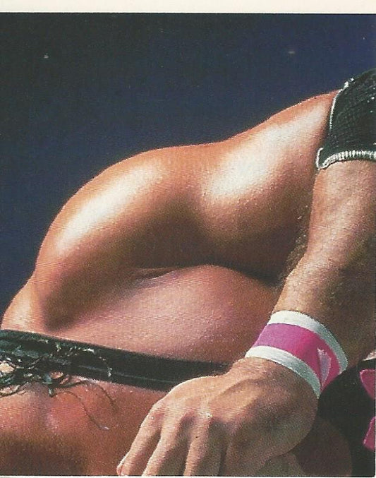 WWF Merlin Stickers 1991 Bret Hart #175