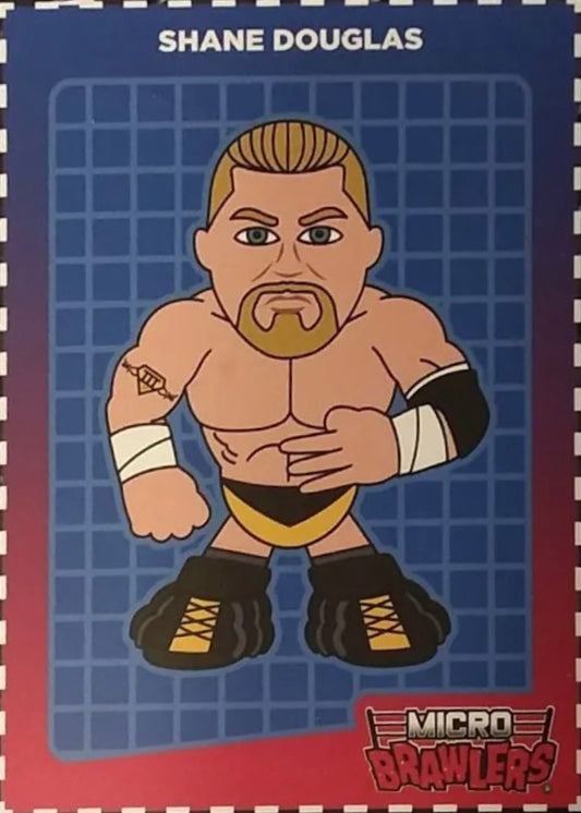 Shane Douglas
