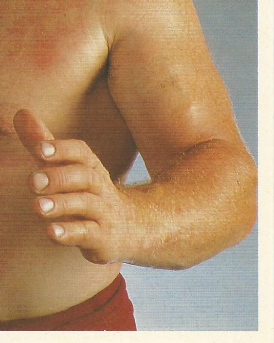 WWF Merlin Stickers 1992 Bob Backlund #176