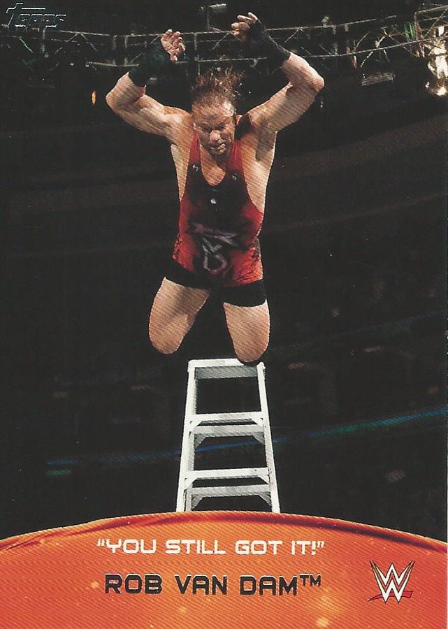 WWE Topps 2015 Rob Van Dam 7 of 10 trading card PW Catalog