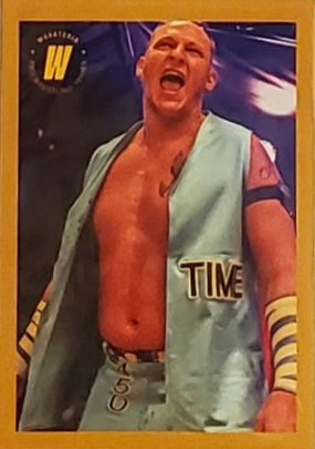 MR Hangtime JAY Flyier trading card PW Catalog