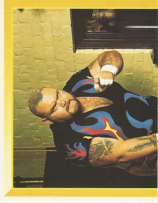 WWF Merlin Sticker 1994 Bam Bam Bigelow #178