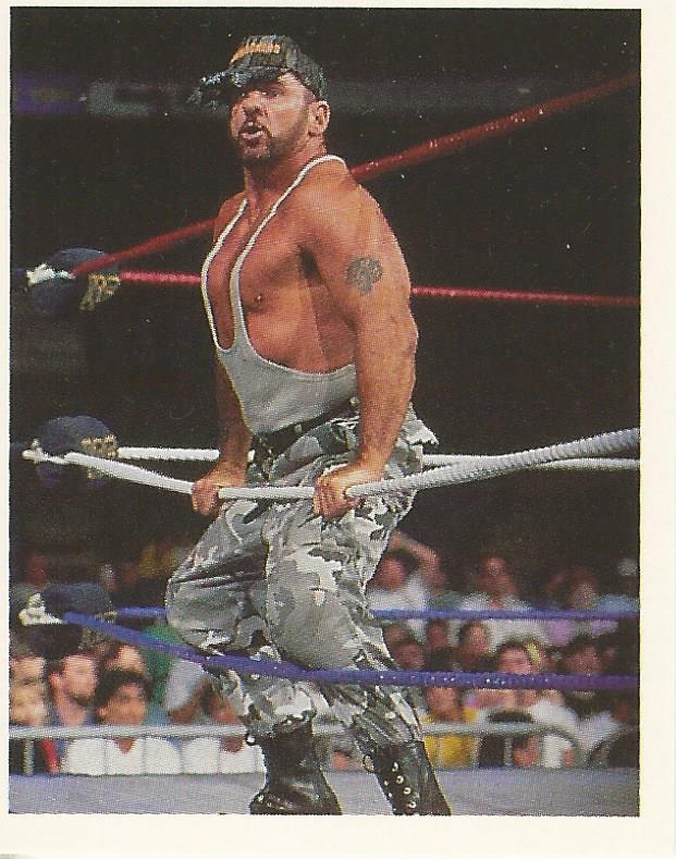 WWF Merlin Stickers 1992 Bushwhackers #178
