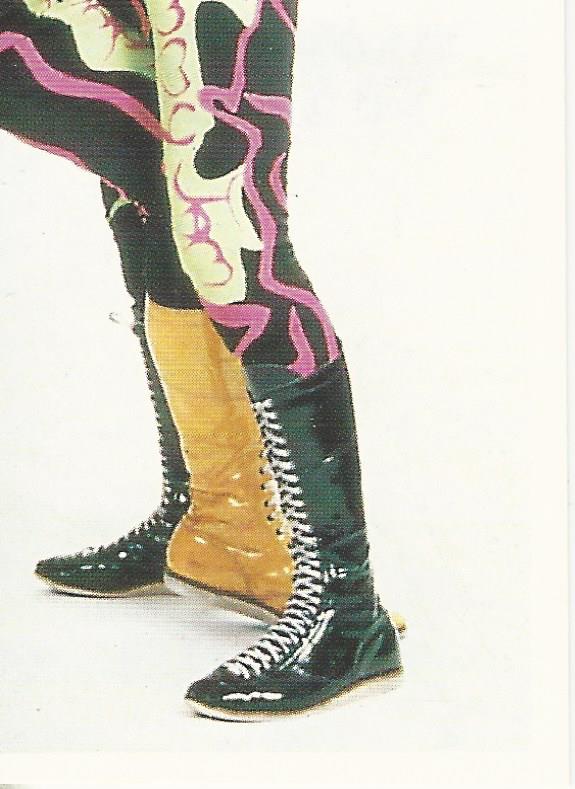 WCW Euroflash 1992 Sticker Jimmy Garvin #178