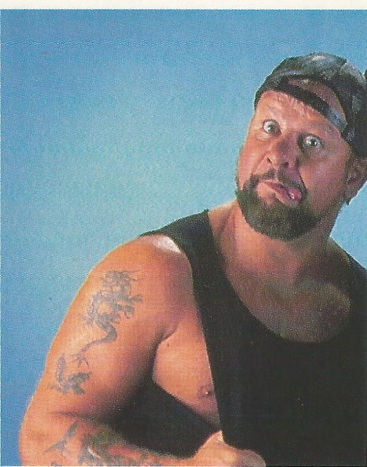 WWF Merlin Stickers 1992 Bushwhackers #179