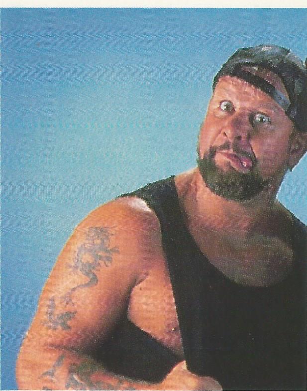 WWF Merlin Stickers 1992 Bushwhackers #179