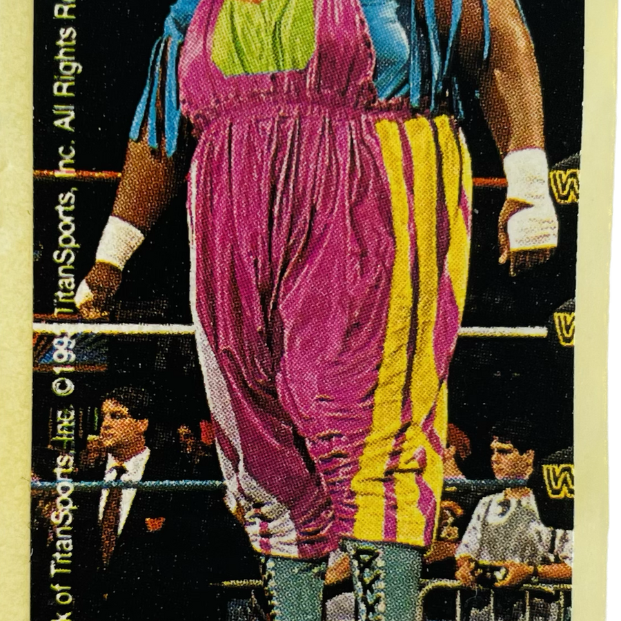 WWF Dunkin Bubble Gum Stickers (1993) No. 17 Men on a Mission PW Catalog