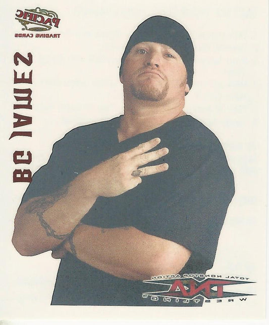 TNA Pacific Tattoo Transfer BG James Road Dogg #17