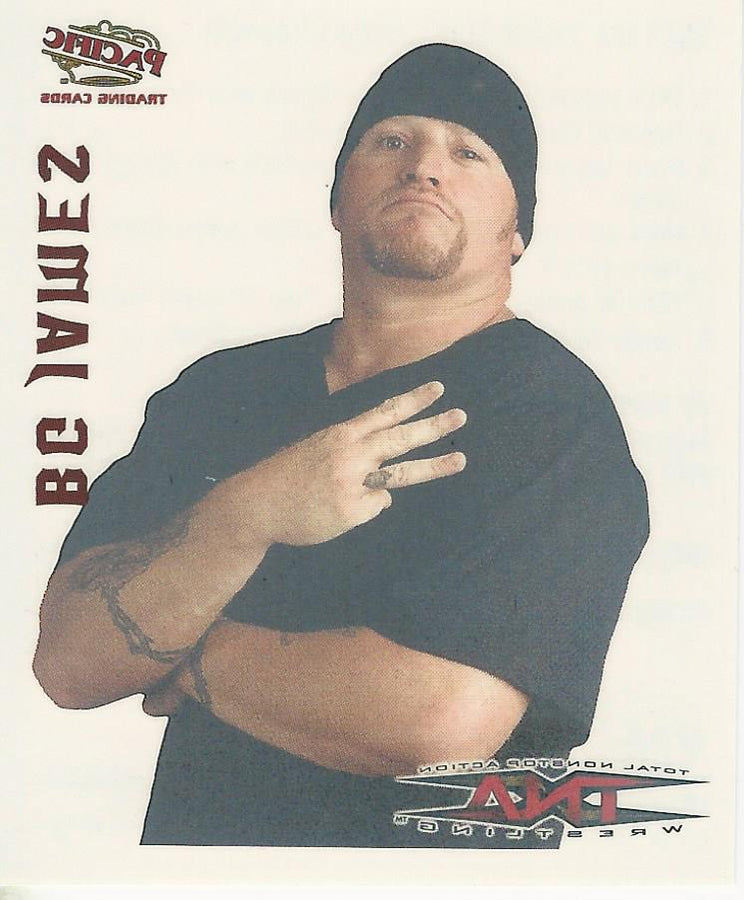 TNA Pacific Tattoo Transfer BG James Road Dogg #17