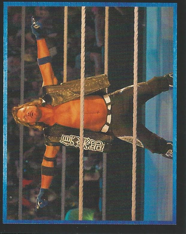 WWE Topps Stickers 2017 AJ Styles #17