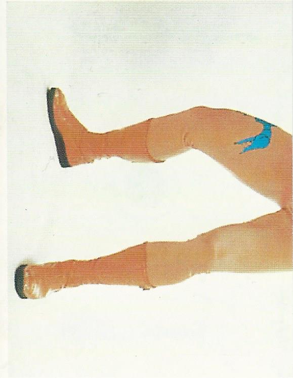 WCW Euroflash 1992 Sticker Sting #17