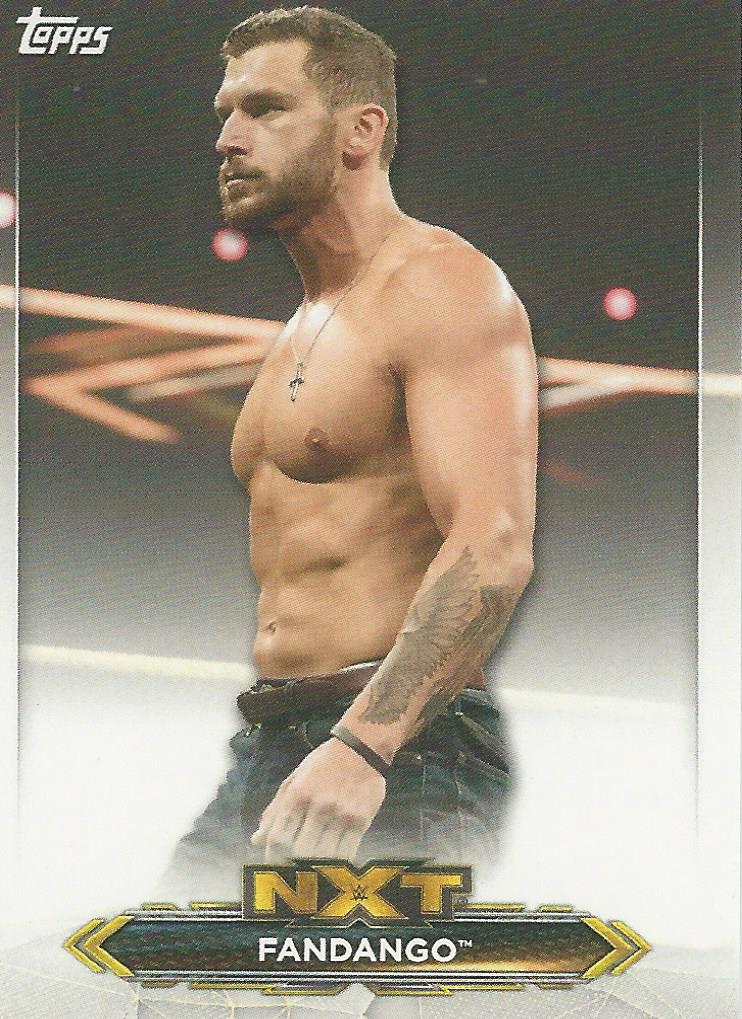 WWE Topps NXT 2020 Fandango #17