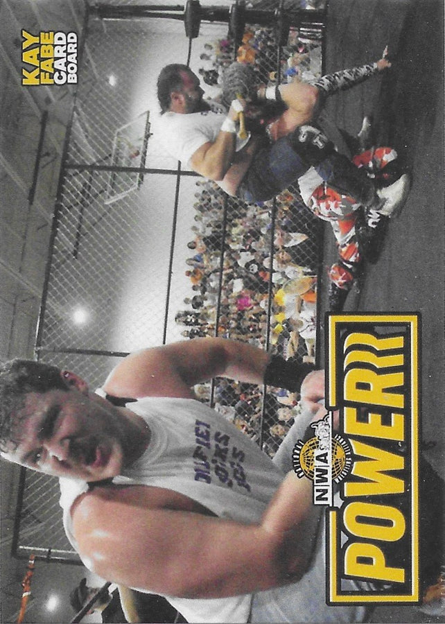 NWA Ring Action 3