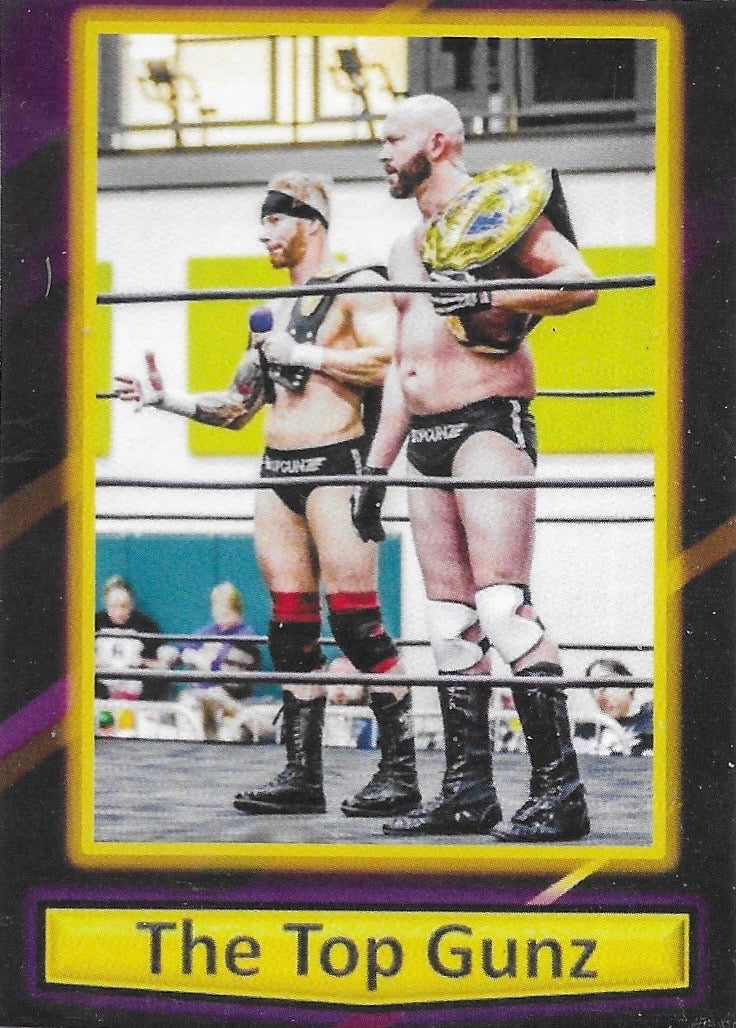 The Top Gunz trading card PW Catalog