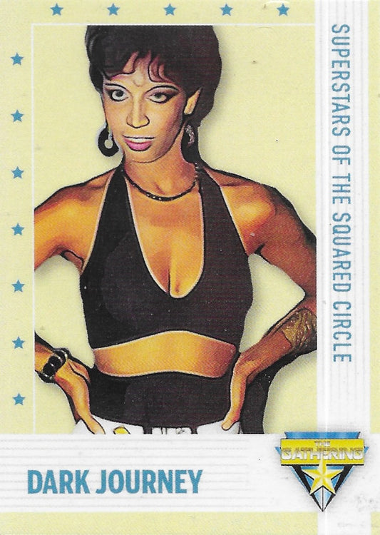 Dark Journey trading card PW Catalog