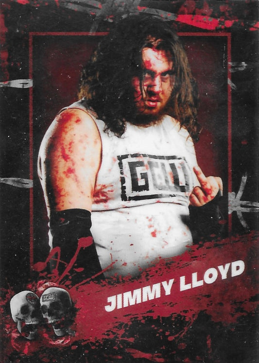 Jimmy Lloyd trading card PW Catalog